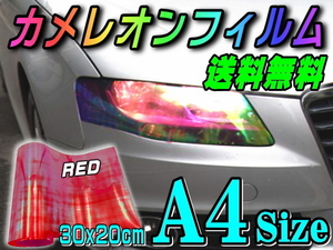 カメレオンフィルム(A4) 赤 30cm 20cm レンズ スモーク テール保護フィルム カラー アイライン ヘッドライト プロテクション レッド 0