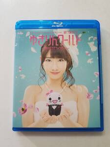 中古BD Blu-ray ブルーレイディスク 柏木由紀 2nd ソロライブ 寝ても覚めてもゆきりんワールド~夢中にさせちゃうぞっ(白抜きのハート記号)~