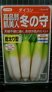 ３袋セット 冬の守 高品質 総太り 大根 ダイコン 種 郵便は送料無料