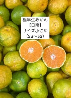 極早生みかん【日南】5kg