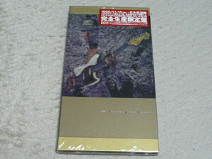 Char / Electric guitar Concert (2CD+ボーナスCD）