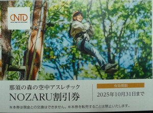 即日発送 在庫6枚有☆日本駐車場開発 株主優待券 NOZARU割引券 那須の森の空中アスレチック ノザル KOZARU ポイント消化 PayPay 最新 即決