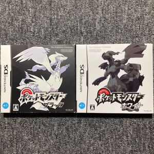 DS ポケットモンスター ブラックホワイト 外箱付き 2本セット BW