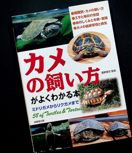 カメの飼い方がよくわかる本―ミドリガメからリクガメまで｜世界と日本の亀 カラー図鑑&種類別飼育ガイド 器具 ケージ 病気#sR