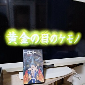 ★視聴確認済み★ 鴉天狗カブト 黄金の目のケモノ 寺沢武一 アニメ ビデオ VHS