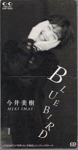 ◆8cmCDS◆今井美樹/Bluebird/「世界・ふしぎ発見!」ED/9th