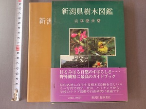 昭和62年初版 新潟県樹木図鑑　新潟日報事業社　/G