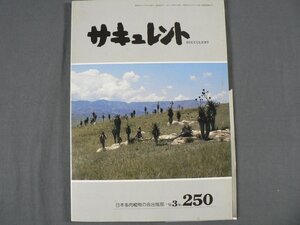 0E3D1　サキュレント　250号　日本多肉植物の会出版部　1988年　