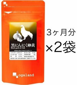 ★送料無料★黒にんにく卵黄 約6ヶ月分(3ヶ月分90カプセル入×2袋)オーガランド サプリメント