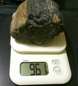 珪化木　Petrified Wood　原石　青森県産　川原の石　研磨なし　重さ９６１ｇ