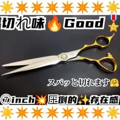 パワフルに切れる理美容師プロ用シザーカットバサミ✨ルックス満点✨トリマーペット可