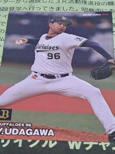 カルビープロ野球チップス2023 宇田川優希