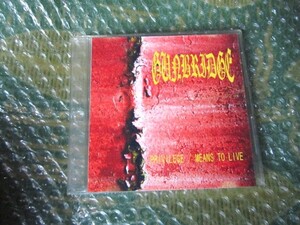 GUNBRIDGE(ガンブリッジ)『PRIVILEGE / MEANS TO LIVE』2010年★ジャパメタ GALNERYUS 