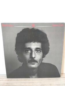 US盤LP　Pat Martino / パットマルティーノ / Joyous Lake / Warner Bros. / 型番BS 2977