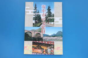 群馬県安中市の文化財/平成20年/安中市教育委員会発行/国指定/国登録有形文化財/群馬県指定/安中市指定/鉄道施設/建築物/遺跡/木像/文書。