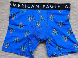 * 1点のみ * AE アメリカンイーグル ボクサーブリーフ トランクス AEO 6" Classic Boxer Brief S / Blue *