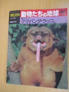 IZ0882 週刊朝日百科 動物たちの地球 1992年5月10日発行 クマ パンダ ラッコ イタチ アメリカグマ ツキノワグマ ヒグマ レッサーパンダ