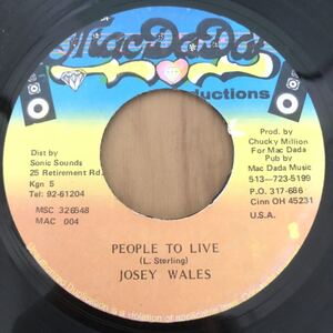 送料無料★レア 大ヒット Taxi Riddim★PEOPLE TO LIVE / JOSEY WALES★45 Vinyl