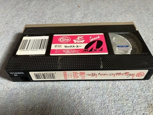 humanity sex life 瀬戸由衣　ＶＨＳ　６０分　貴重