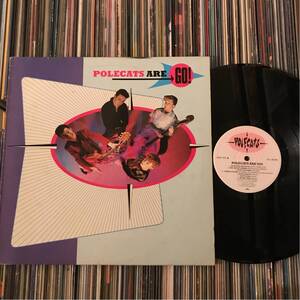 POLECATS 1981 UK Original LP ネオロカビリー