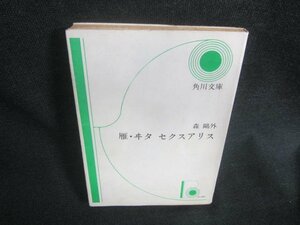 雁・ヰ夕セクスアリス　森?外　日焼け強/CDG