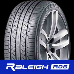 225/65R17 レイダン RYDANZ RALEIGH R06 1本単位 Z0094 225 65 17 17インチ 国産コンフォートタイヤ シバタイヤ