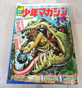 Y2548 月刊　別冊　少年マガジン　1969年　5月号　ちばてつや付録色紙 希少 昭和レトロ