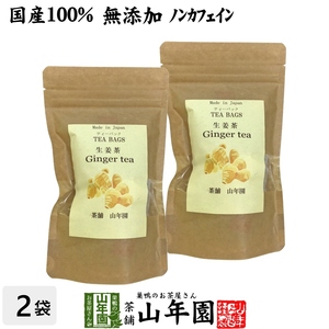 健康茶 国産100% 生姜茶 ジンジャーティー 2g×12パック×2袋セット 国産 送料無料