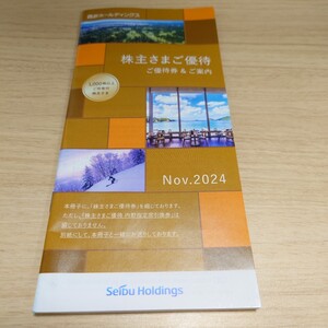 西武ホールディングス　　株主優待冊子　1冊　1000株