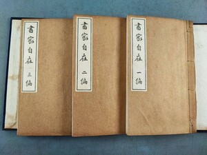 AW446「画家自在」1帙3冊揃 (検骨董書画掛軸巻物拓本金石法帖古書和本和刻本唐本漢籍書道中国石印