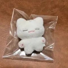 ウジ　ぬいぐるみ　10cm 新品　マスター　セブチ　svt