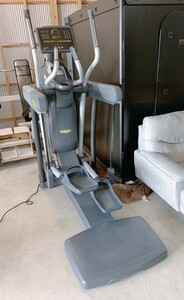 美品 TECHNOGYM テクノジム クロストレーナー エクササイズ トレーニング 筋トレ ダイエット 引取限定 茨城県常陸大宮市 0626か3 L 自