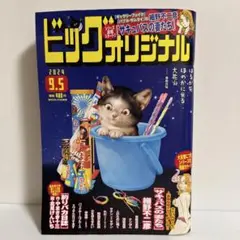 ビッグコミックオリジナル 2024年9月5日 17号 no.17