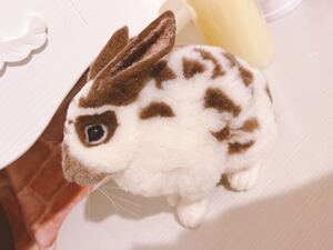 羊毛フェルト　ハンドメイド　うさぎ　ニードル　ラビット　rabbit