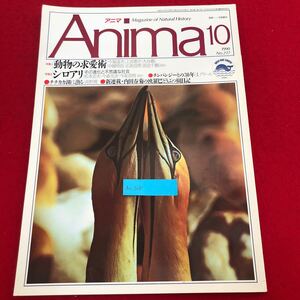 Ac-308/Anima アニマ 1990年10月号No.217 平凡社発行 特集:動物の求愛術 シロアリ その進化と不思議な社会 チチカカ湖に漁る 他/L1/7021