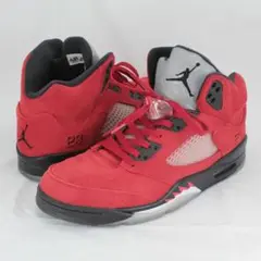 b0452 NIKE Air Jordan 5 ToroBravo 29.5cm