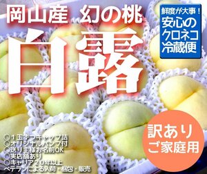 【最終販売　ご家庭用】【希少品種】岡山一宮産　白露桃　　約3ｋｇ1箱（11～13玉入）　もも