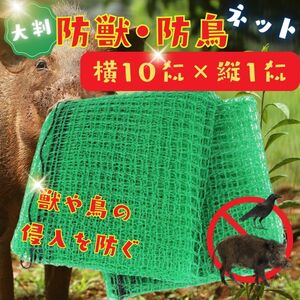 【新品:大判！】防獣 ネット 10ｍ 防鳥 からすよけ 農園 対策 いのしし アニマルネット