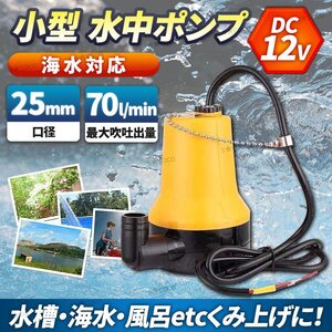 12V 電動 水中ポンプ 小型 水槽 海水 池用 屋外 ビルジポンプ 軽量 ボート 建設機械 キャンピングカー 農業 船舶 排水 汚水 70L 25mm ①