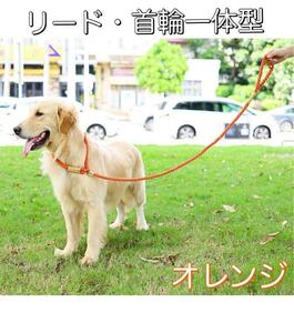 犬 首輪 P型リード やわらかい 一体型 ひっぱり対策トレーニング オレンジ