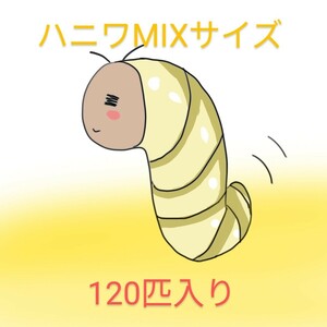 ハニーワーム　100+20匹　MIXサイズ