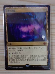 MTG「魂の洞窟/Cavern of Souls」1枚 日版 プロモ