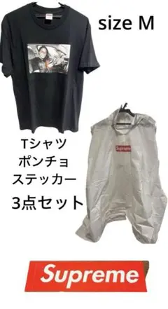 【希少/良品】SUPREME x ANTIHERO コラボTシャツ / M