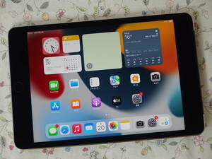 ☆彡 超美品　Apple　iPad　mini 4　A1550　128GB　スペースグレイ　au　Wi-Fi + Cellular