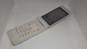 M096 docomo FOMA P-01E Panasonic パナソニック ガラケー 折り畳み式 簡易動作確認＆簡易清掃＆初期化OK 判定○ 現状品 送料無料