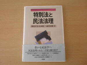 特別法と民法法理　■有斐閣■ 