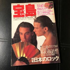 音楽 雑誌「宝島 1985年 3月号」中古 竹中直人 甲斐よしひろ スターリン 日本のロック