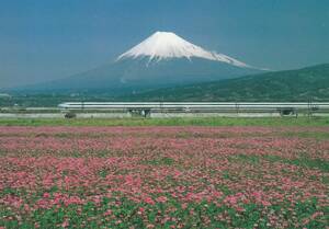 ☆◎ 新幹線 富士山 ◎東海道新幹線【富士市 附近】梅島堅 撮影◇絵葉書◇鉄道◇静岡県富士市◇