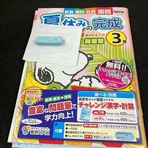 いー194 夏休みの完成 ３年 教育同人社 スヌーピー 問題集 プリント ドリル 小学生 国語 算数 理科 社会 テキスト テスト用紙 文章問題※7