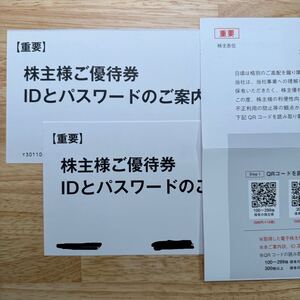 ユナイテッドコレクティブ 株主優待 30,000円分 2025年11月30日迄